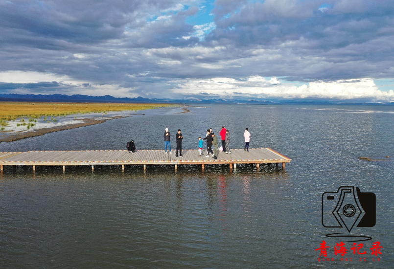 行走青海湖畔,共赴生态之约--鸟岛数据观测中心、仙女湾