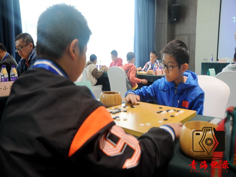 2024年青海省围棋升段赛(6段赛)开赛