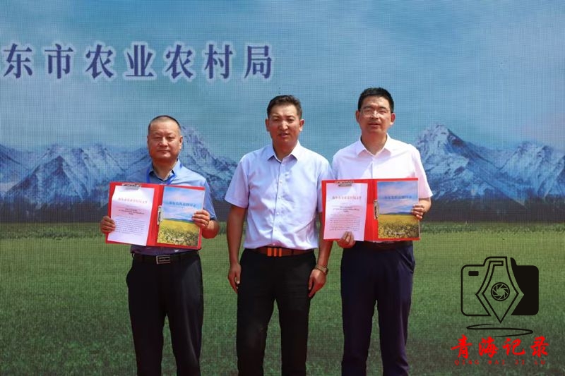 以品牌之力助推农牧业高质量发展 海东市发布首批“农牧业品牌目录”