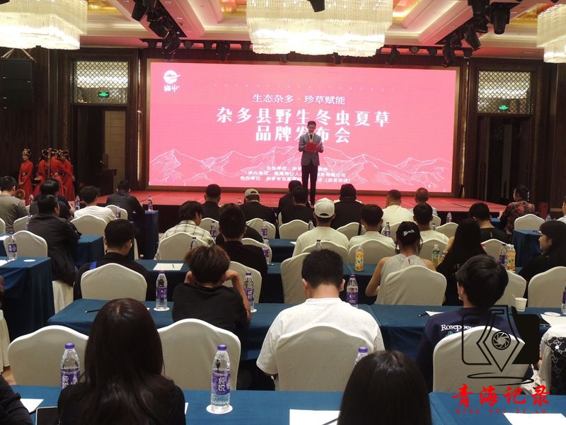 青海杂多“福草”品牌正式发布:生态赋能 开启冬虫夏草产业新篇章