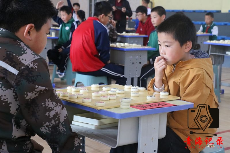 第十一届全国象棋业余棋王赛青海赛区湟中区预选赛开赛